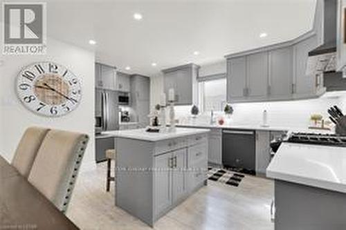 123 Kimberley Avenue, London, ON - Indoor Photo Showing Kitchen With Upgraded Kitchen
