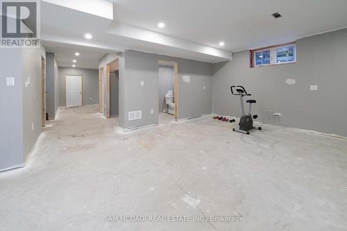 1029 Haig Boulevard, Mississauga, ON - Indoor Photo Showing Basement