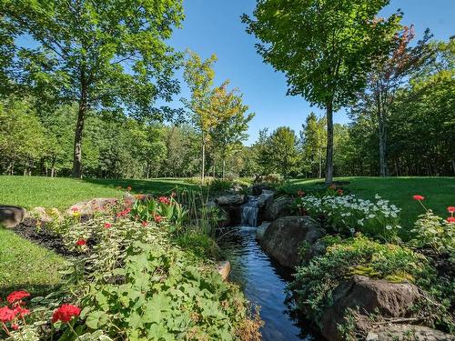 Backyard - 1054 Ch. Thomas-Maher, Lac-Saint-Joseph, QC - Outdoor