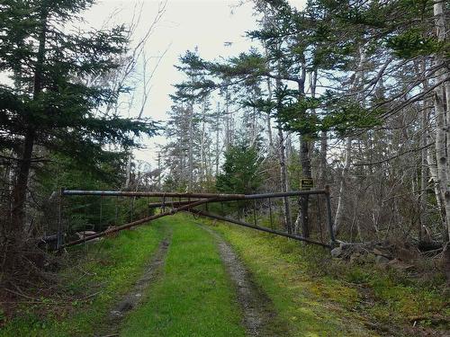 194 Sailor Dans Lane, South Head, NS 