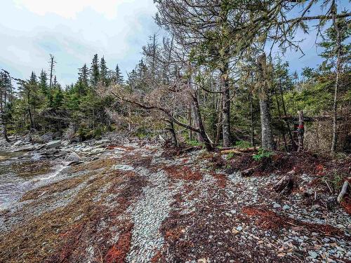 Lot 29 94 Beaver Drive, West Quoddy, NS 