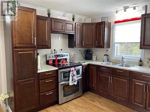 23 Main Street, Black Duck Brook, NL - Indoor Photo Showing Kitchen With Double Sink