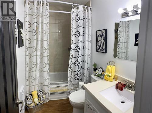 23 Main Street, Black Duck Brook, NL - Indoor Photo Showing Bathroom