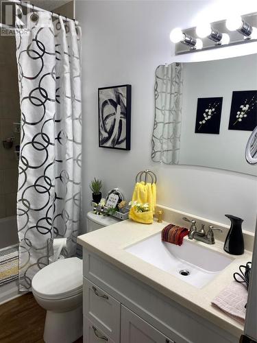 23 Main Street, Black Duck Brook, NL - Indoor Photo Showing Bathroom