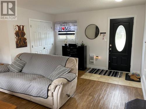 23 Main Street, Black Duck Brook, NL - Indoor Photo Showing Living Room