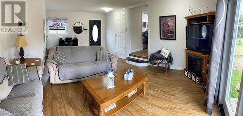 23 Main Street, Black Duck Brook, NL - Indoor Photo Showing Living Room