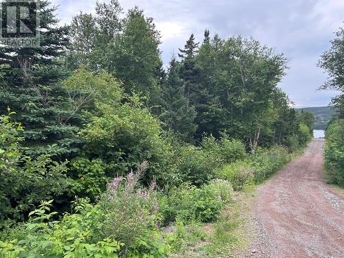 Lot #2 Bar Road, Random Island, NL 