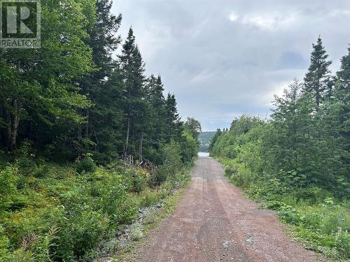 Lot #2 Bar Road, Random Island, NL 