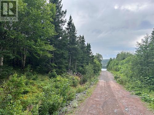 Lot #2 Bar Road, Random Island, NL 