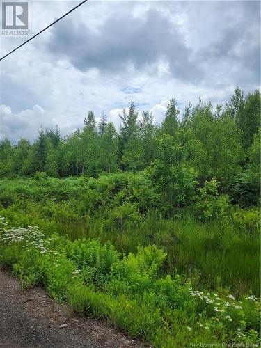 Lot 6 Route 10, Cumberland Bay, NB 