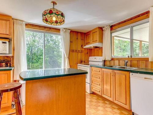 Cuisine - 35 Rue Academy, Sutton, QC - Indoor Photo Showing Kitchen With Double Sink