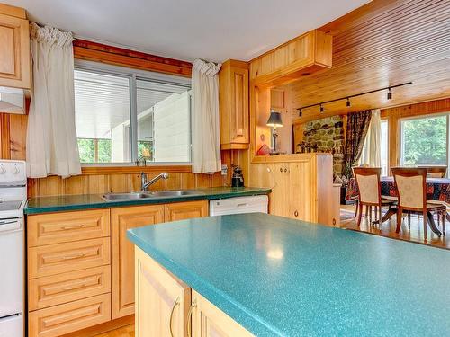 Cuisine - 35 Rue Academy, Sutton, QC - Indoor Photo Showing Kitchen With Double Sink