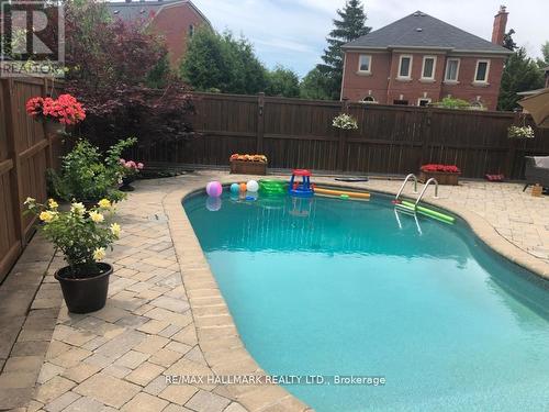 59 Oatlands Crescent, Richmond Hill, ON - Outdoor With In Ground Pool With Deck Patio Veranda With Backyard