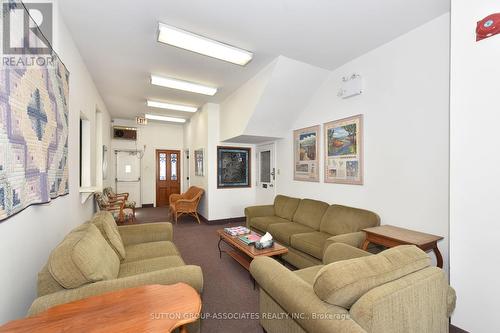 157 Gerrard Street E, Toronto, ON - Indoor Photo Showing Living Room