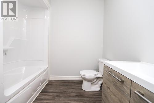 102 Peninsula Road, Whitbourne, NL - Indoor Photo Showing Bathroom