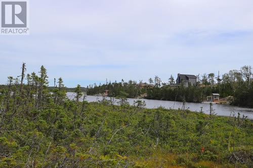 102 Peninsula Road, Whitbourne, NL - Outdoor With View