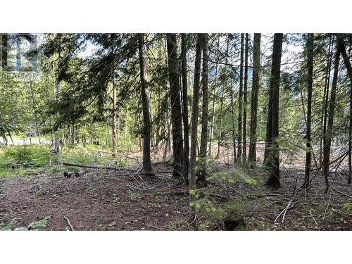 Lot 157 Estate Place, Anglemont, BC 