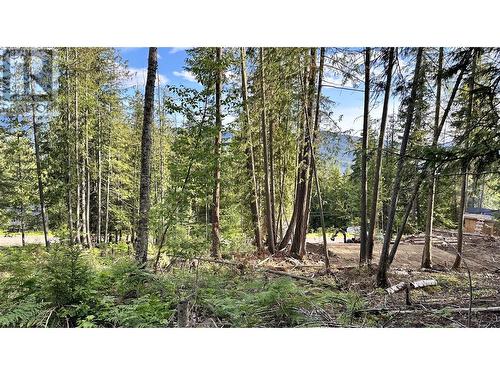 Lot 157 Estate Place, Anglemont, BC 