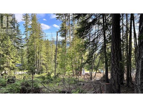 Lot 157 Estate Place, Anglemont, BC 