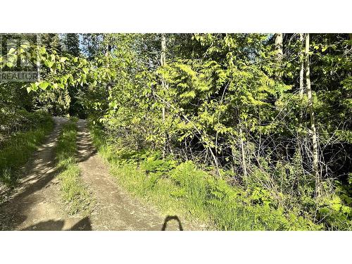 Lot 157 Estate Place, Anglemont, BC 