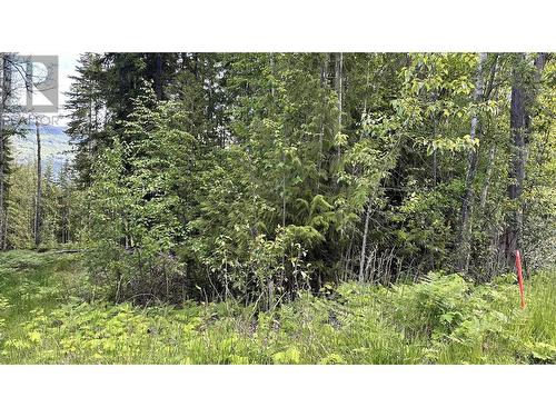 Lot 157 Estate Place, Anglemont, BC 