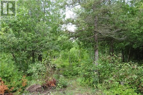 53 Cherry Hill Road, Northern Bruce Peninsula, ON 