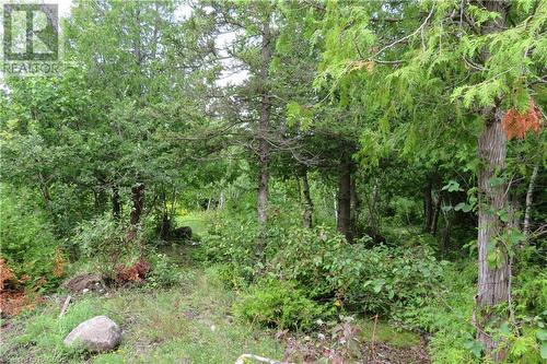 53 Cherry Hill Road, Northern Bruce Peninsula, ON 