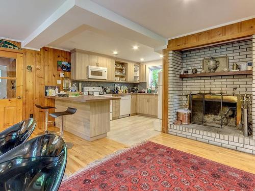 Vue d'ensemble - 14 Rue Highland, Sutton, QC - Indoor Photo Showing Other Room With Fireplace