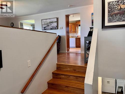 20 Farm Road, Howley, NL - Indoor Photo Showing Other Room