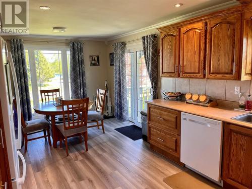 20 Farm Road, Howley, NL - Indoor Photo Showing Kitchen