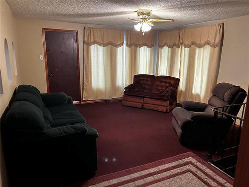 1617 7Th Street, Brandon, MB - Indoor Photo Showing Living Room