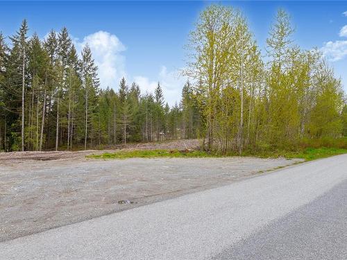 Lot 4 Barnjum Rd, Duncan, BC 