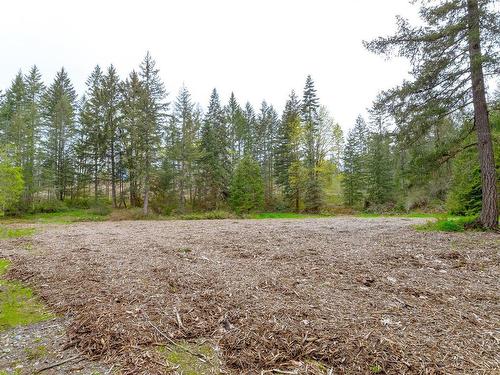 Lot 4 Barnjum Rd, Duncan, BC 