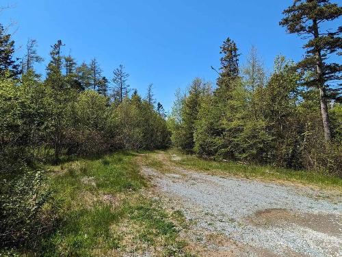 Lot Mes-1X West Lawrencetown Road, West Lawrencetown, NS 