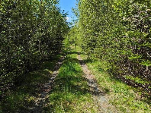 Lot Mes-1X West Lawrencetown Road, West Lawrencetown, NS 