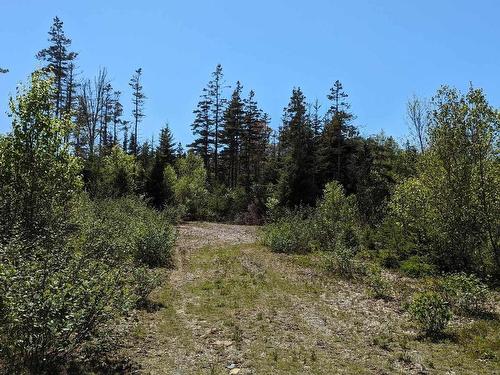 Lot Mes-1X West Lawrencetown Road, West Lawrencetown, NS 