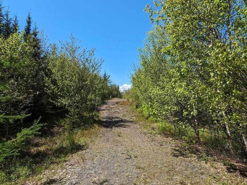 Lot Mes-1X West Lawrencetown Road, West Lawrencetown, NS 