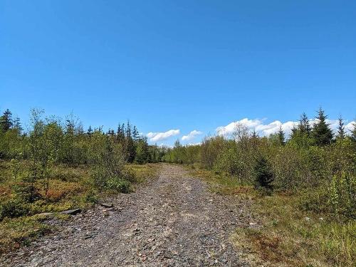 Lot Mes-1X West Lawrencetown Road, West Lawrencetown, NS 