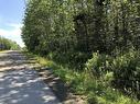 Lot Lighthouse Road, Bay View, NS 