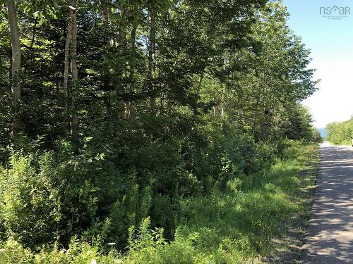 Lot Lighthouse Road, Bay View, NS 