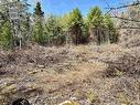 Lot Highway 3, Reids Hill, NS 
