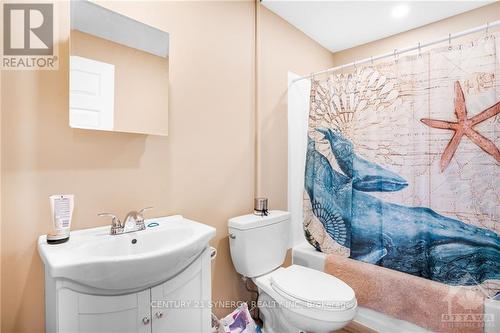 238 Alfred St Street, Alfred And Plantagenet, ON - Indoor Photo Showing Bathroom