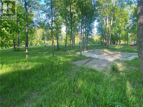 1767 (Lot 7) Hwy 575, Field, ON 