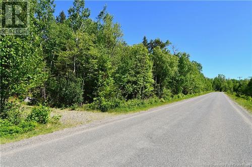 Lot 85-304 Fundy Drive, Wilsons Beach, NB 