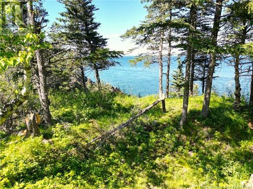 Lot 85-304 Fundy Drive, Wilsons Beach, NB 