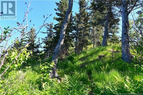 Lot 85-304 Fundy Drive, Wilsons Beach, NB 