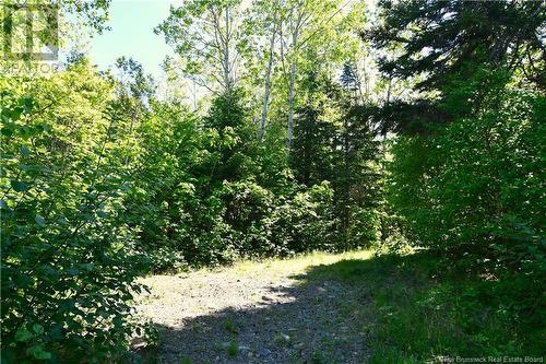 Lot 85-304 Fundy Drive, Wilsons Beach, NB 