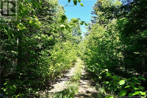 Lot 85-304 Fundy Drive, Wilsons Beach, NB 