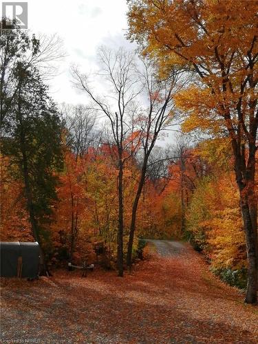 Fall - A blanket of colours - 884 Dunlop Shores Road, Elliot Lake, ON - Outdoor With View