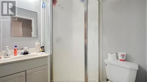 1132 Windsor Avenue, Windsor, ON - Indoor Photo Showing Bathroom